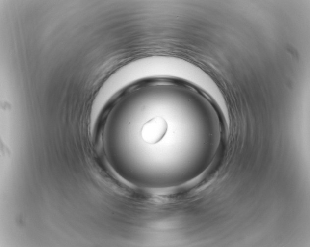 X0000091310092200708101511