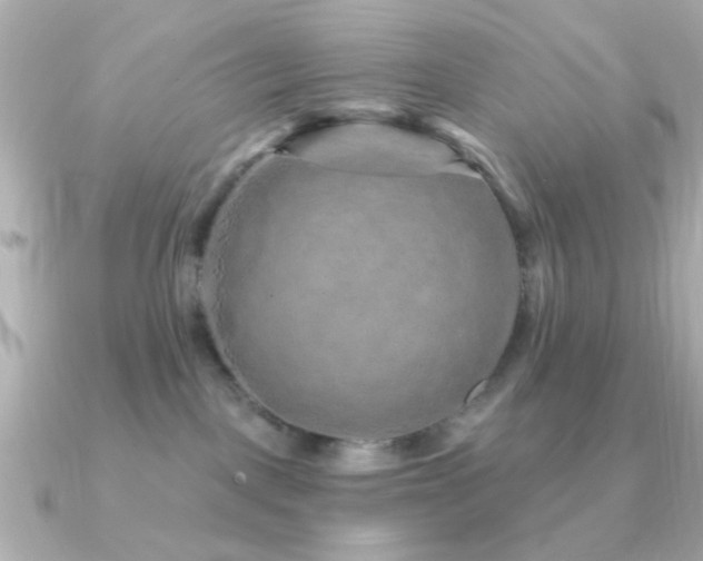 X0000091310093200708101511