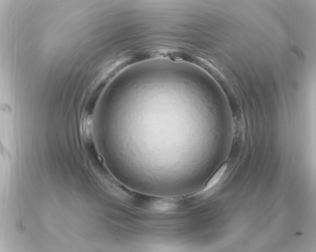 X0000091310094200708101511