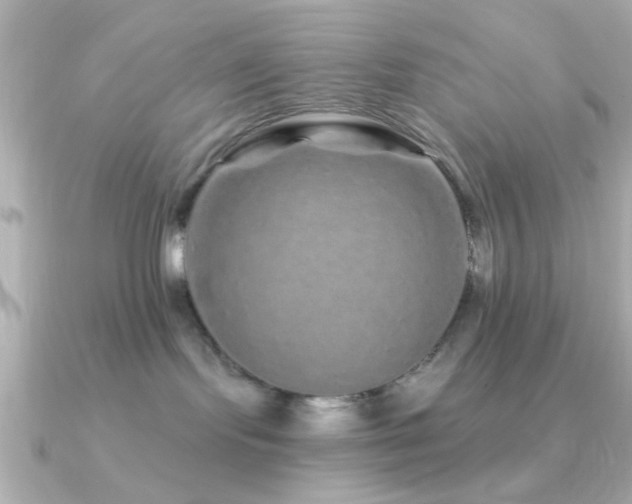 X0000091310095200708101511