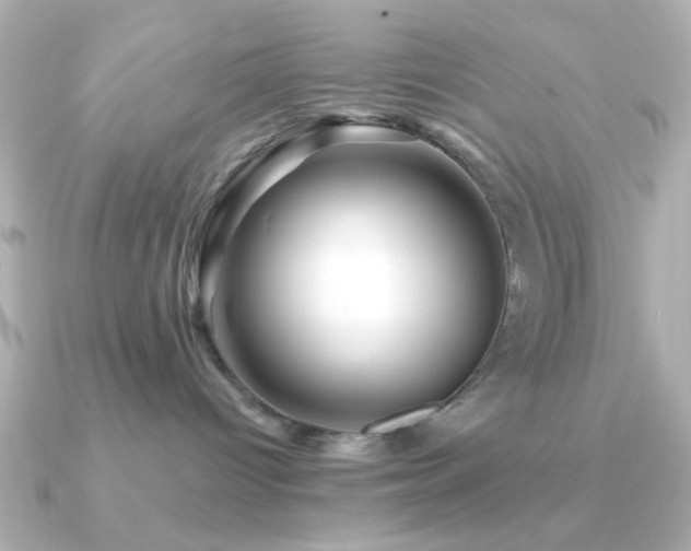 X0000091310096200708101511