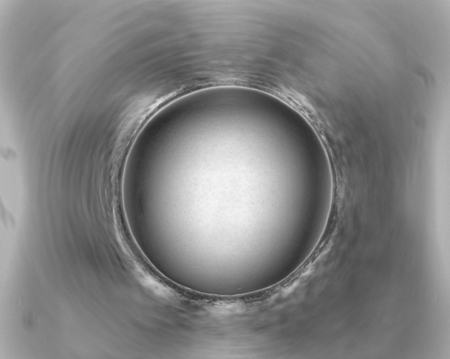 X0000091310097200708101510