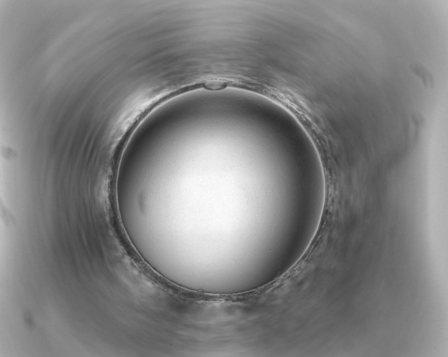 X0000091310098200708101510