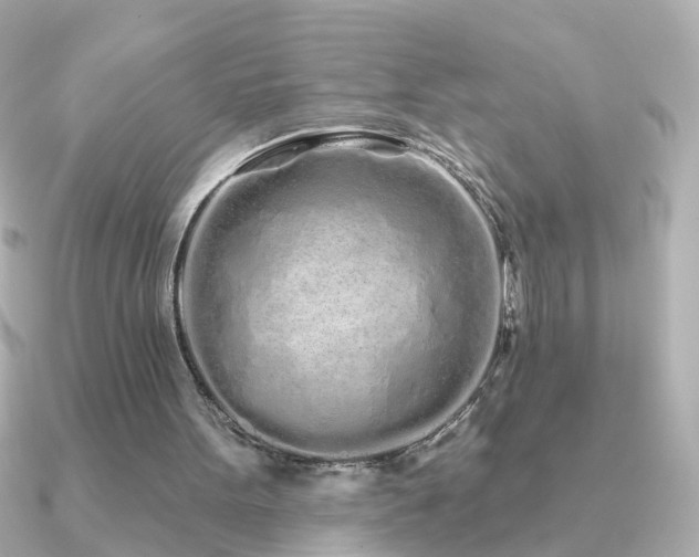 X0000091310099200708101510