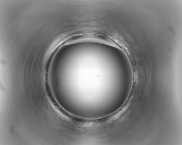 X0000091310101200708101510