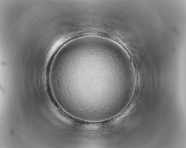 X0000091310102200708101510