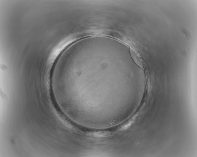 X0000091310103200708101510