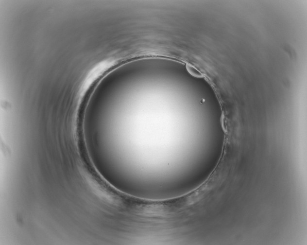 X0000091310104200708101510