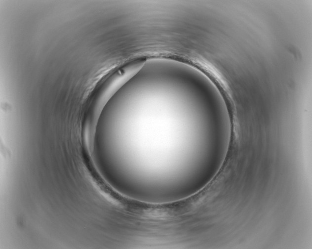 X0000091310105200708101510