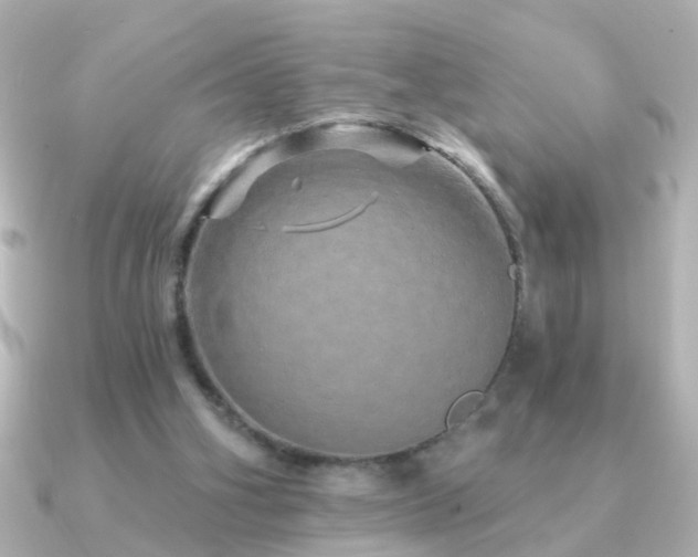 X0000091310106200708101510