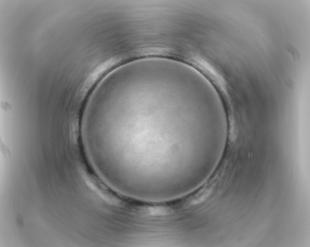 X0000091310107200708101510