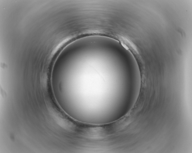 X0000091310108200708101510