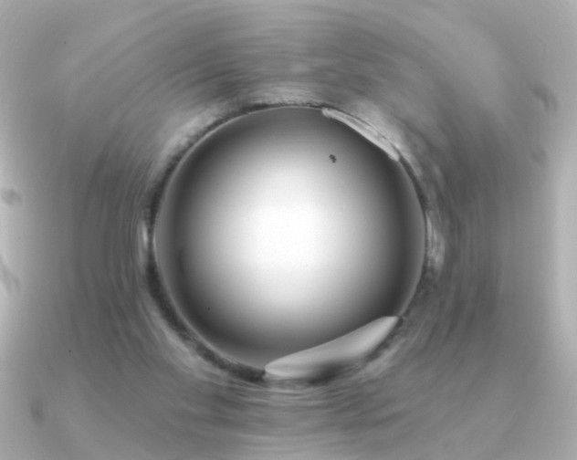 X0000091310109200708101510