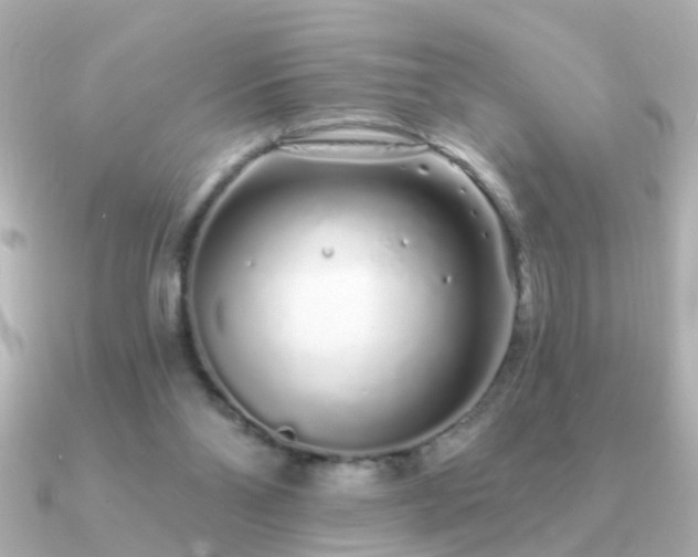 X0000091310110200708101510