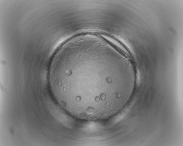 X0000091310111200708101510