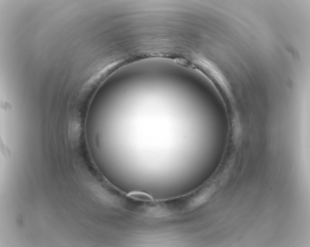 X0000091310113200708101510