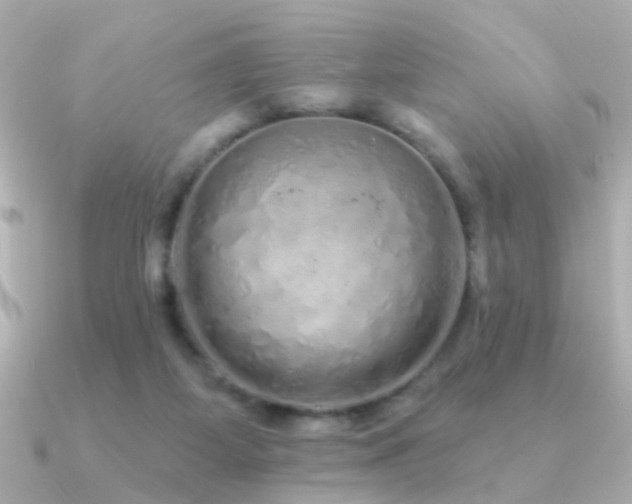 X0000091310115200708101510