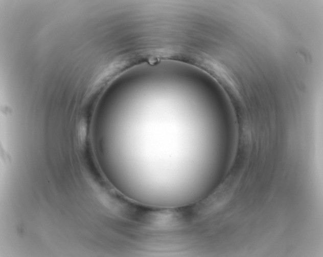 X0000091310118200708101510