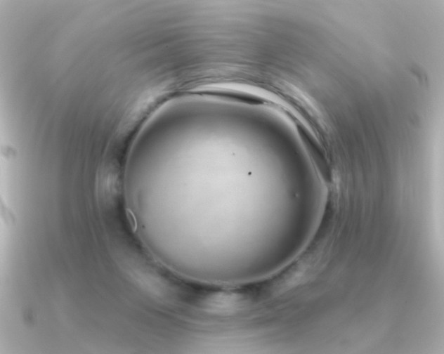 X0000091310119200708101510