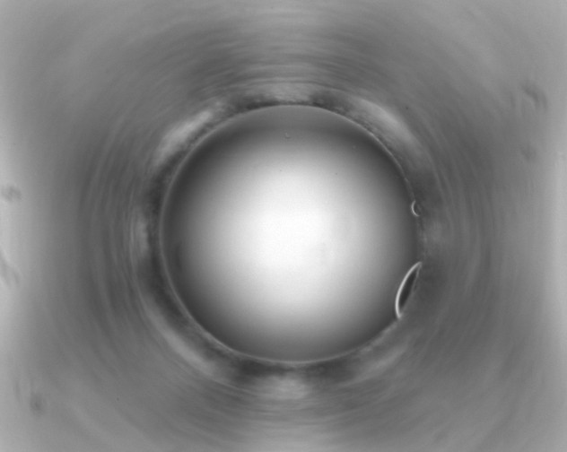 X0000091310120200708101510