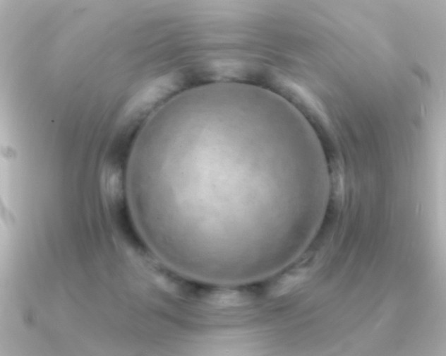 X0000091310123200708101510