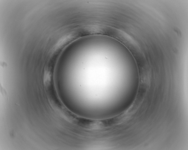 X0000091310124200708101510