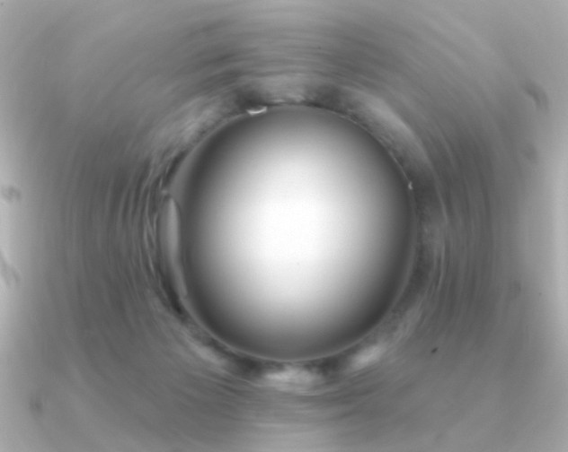 X0000091310125200708101510