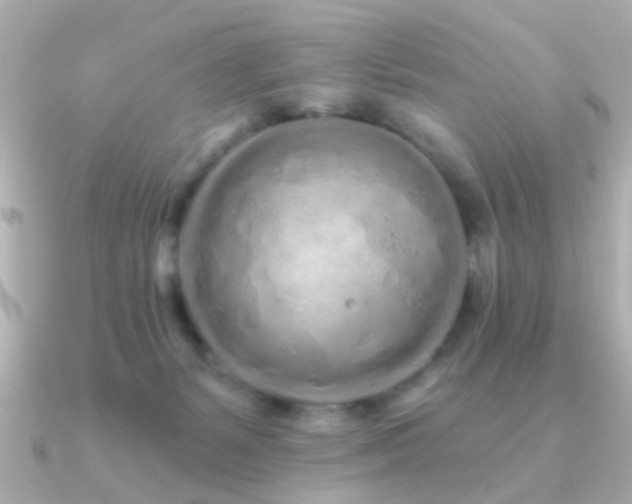 X0000091310127200708101510