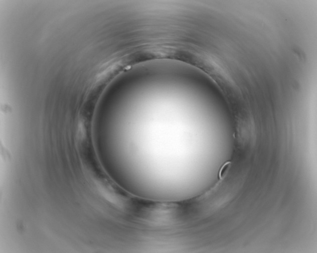 X0000091310128200708101510