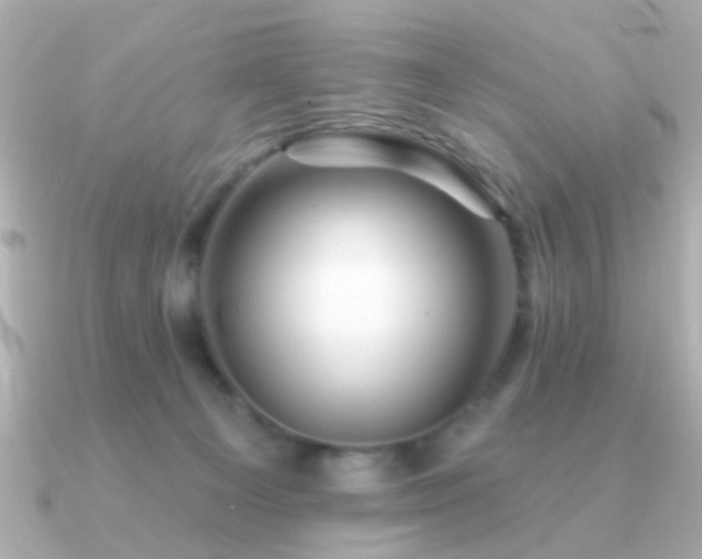 X0000091310129200708101510