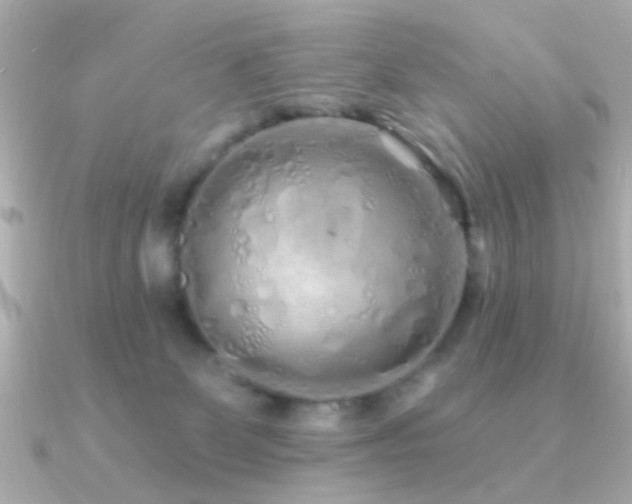 X0000091310131200708101510