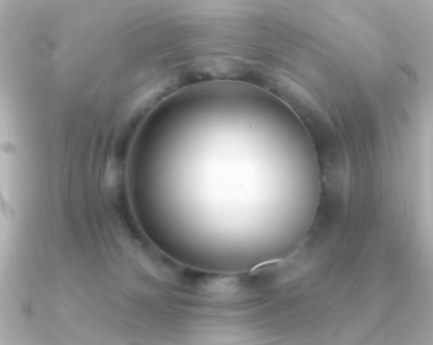 X0000091310132200708101510