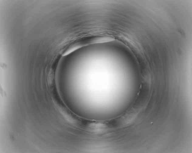 X0000091310133200708101510