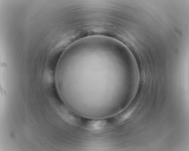 X0000091310135200708101510