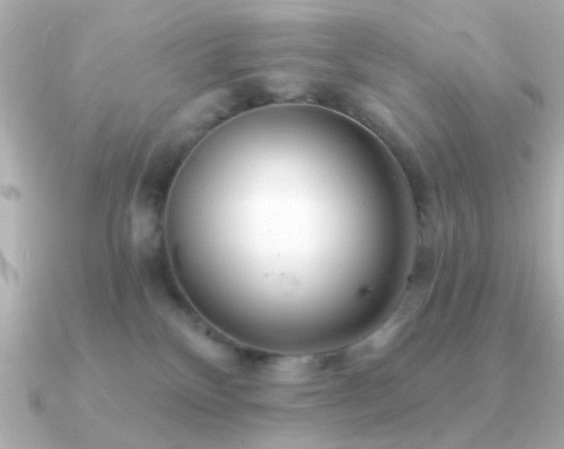 X0000091310136200708101510