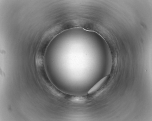 X0000091310137200708101510