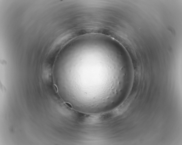 X0000091310138200708101510