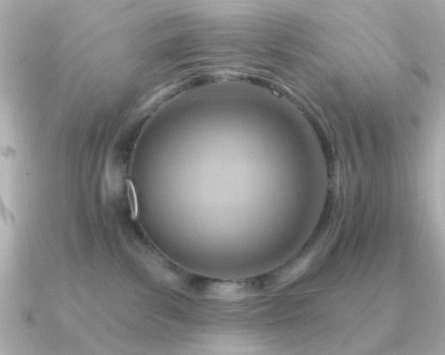 X0000091310139200708101510