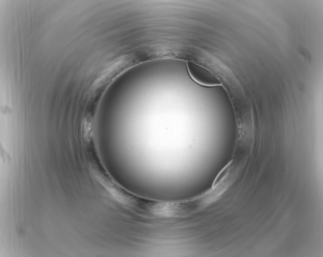 X0000091310142200708101510