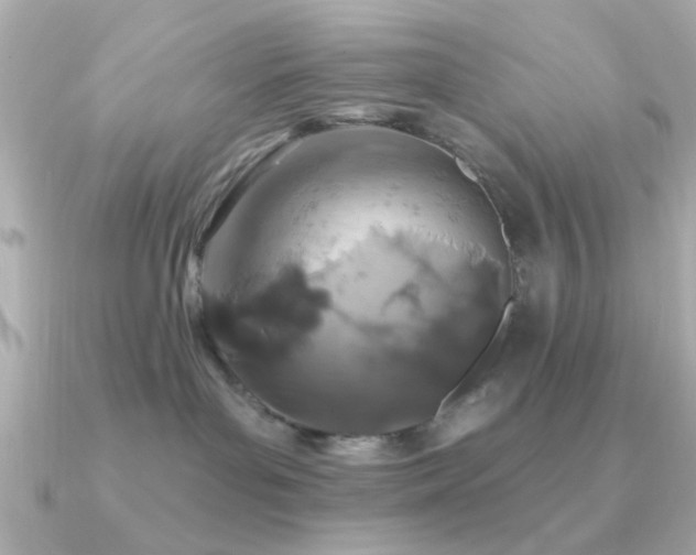 X0000091310143200708101510