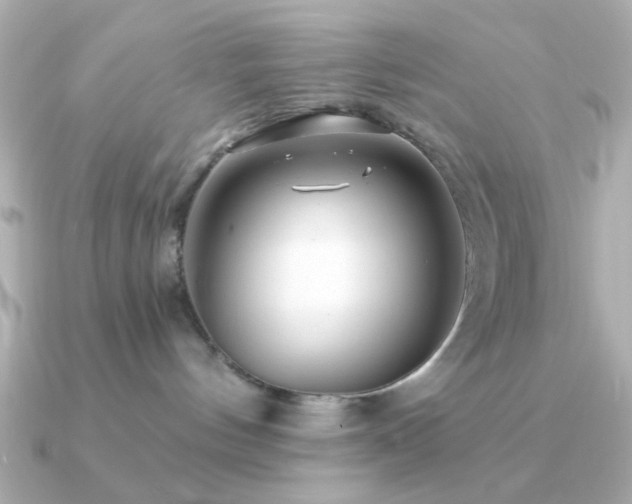 X0000091310144200708101510