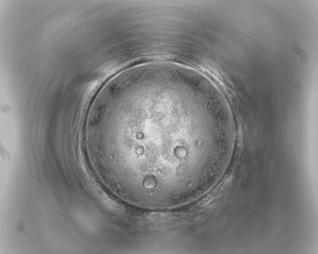 X0000091310145200708101509