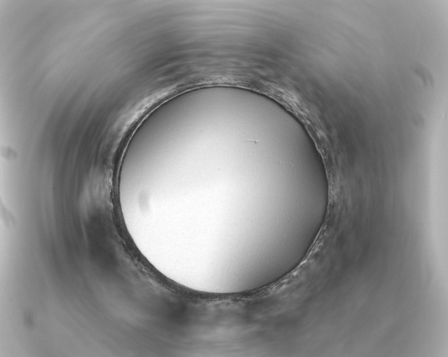 X0000091310146200708101509