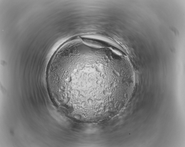 X0000091310147200708101509