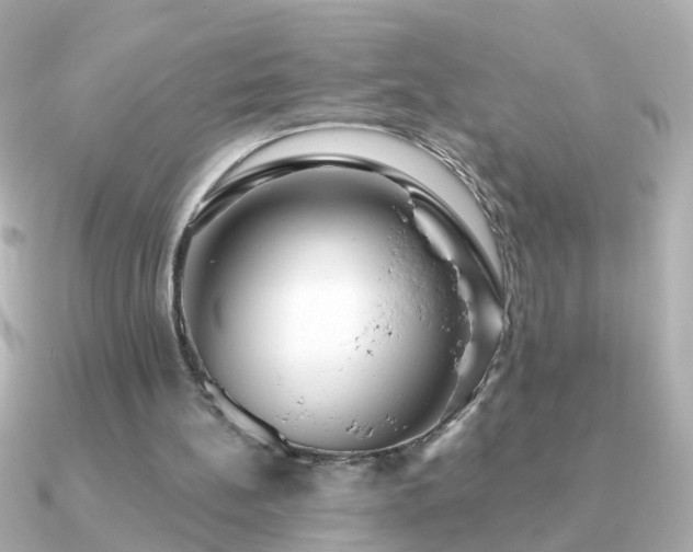 X0000091310148200708101509