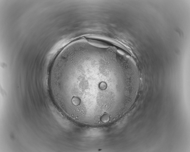 X0000091310149200708101509