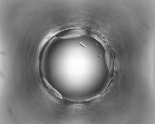 X0000091310150200708101509