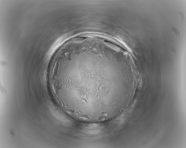 X0000091310151200708101509