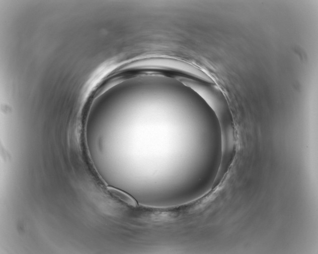 X0000091310152200708101509