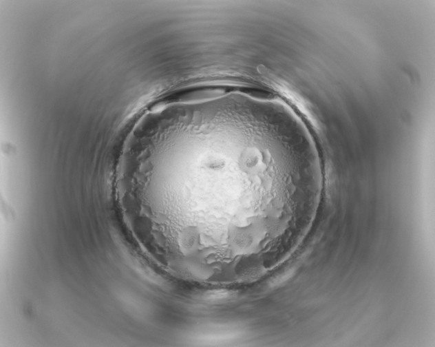 X0000091310153200708101509